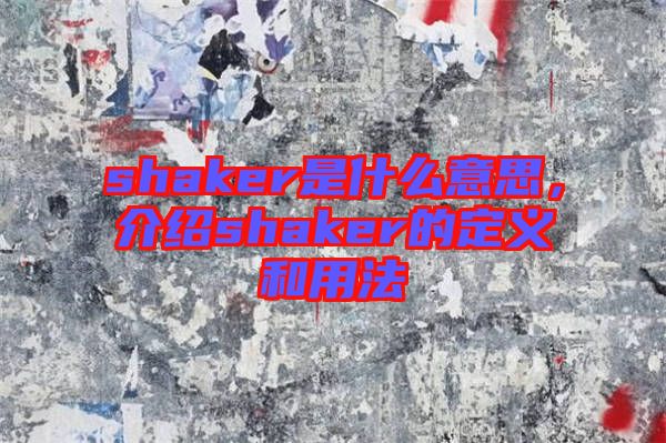 shaker是什么意思，介紹shaker的定義和用法