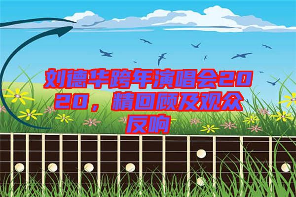 劉德華跨年演唱會(huì)2020，精回顧及觀眾反響