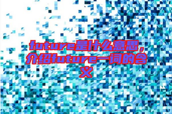 future是什么意思，介紹future一詞的含義