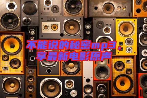 不能說(shuō)的秘密mp3，享最新電影原聲