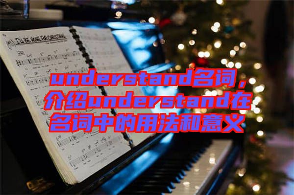 understand名詞，介紹understand在名詞中的用法和意義