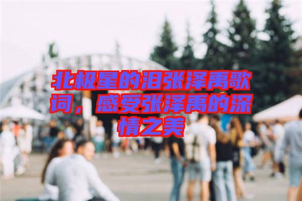 北極星的淚張澤禹歌詞，感受張澤禹的深情之美