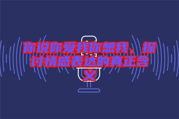 你說你愛我你想我，探討情感表達(dá)的真正含義