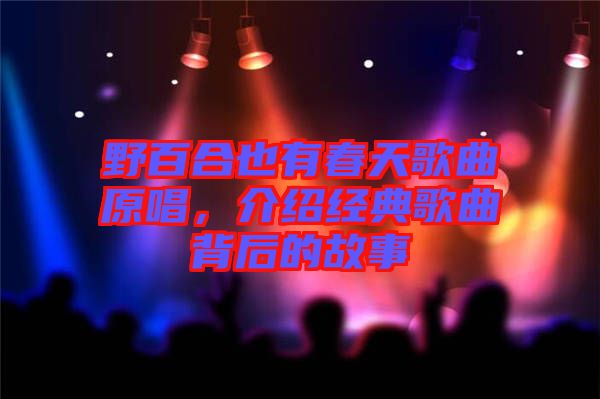 野百合也有春天歌曲原唱，介紹經(jīng)典歌曲背后的故事