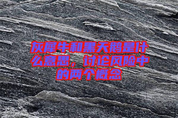 灰犀牛和黑天鵝是什么意思，討論風(fēng)險(xiǎn)中的兩個(gè)概念