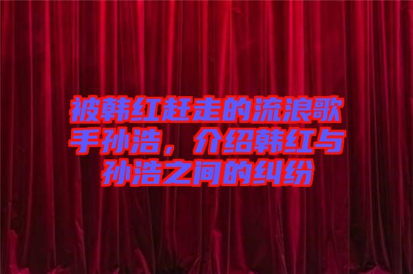 被韓紅趕走的流浪歌手孫浩，介紹韓紅與孫浩之間的糾紛