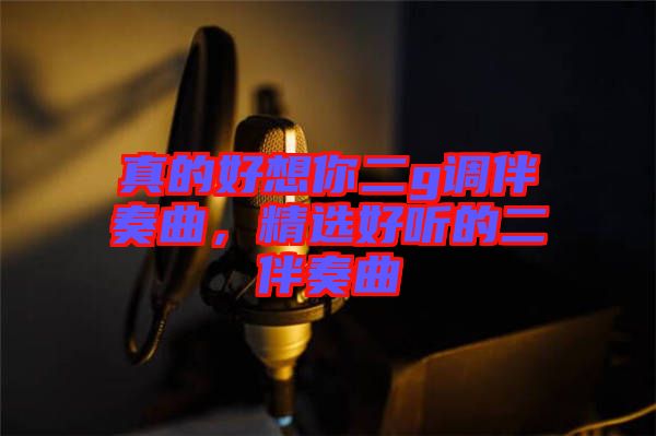 真的好想你二g調(diào)伴奏曲，精選好聽的二伴奏曲