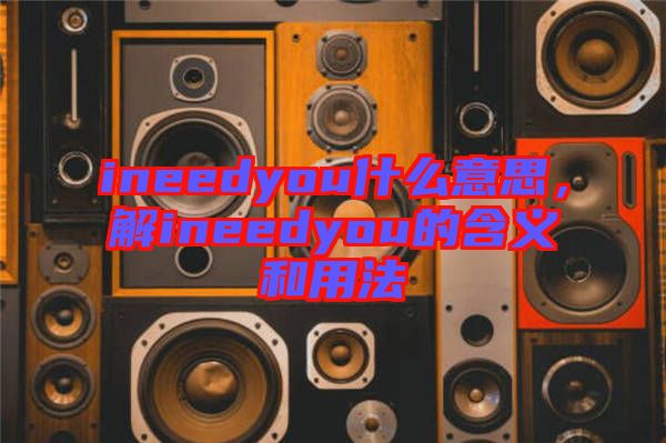 ineedyou什么意思，解ineedyou的含義和用法