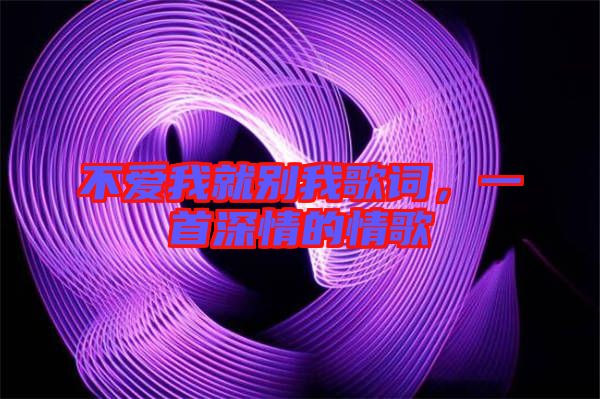 不愛我就別我歌詞，一首深情的情歌