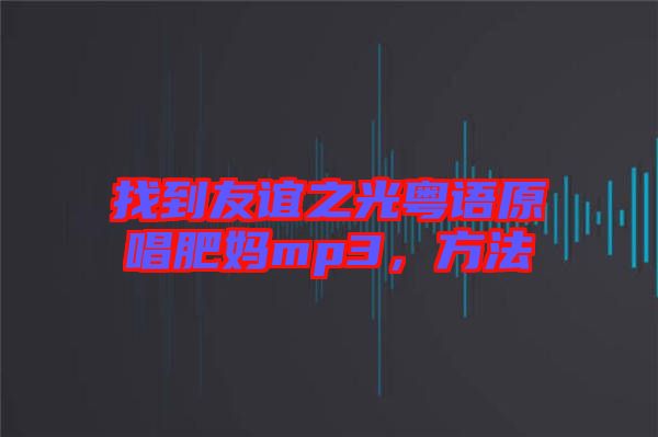 找到友誼之光粵語(yǔ)原唱肥媽mp3，方法