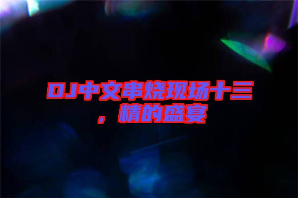 DJ中文串燒現場十三，精的盛宴