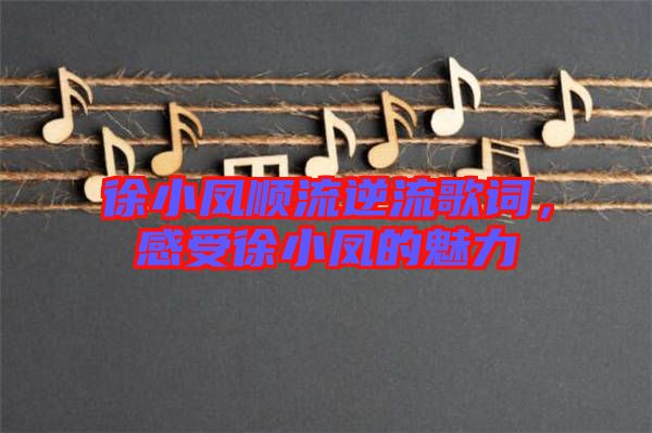 徐小鳳順流逆流歌詞，感受徐小鳳的魅力