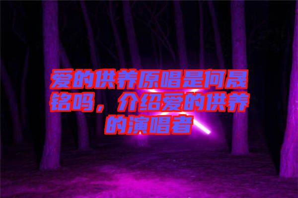 愛的供養(yǎng)原唱是何晟銘嗎，介紹愛的供養(yǎng)的演唱者