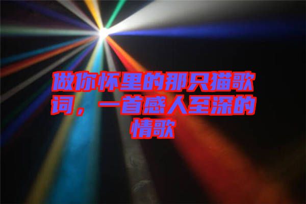 做你懷里的那只貓歌詞，一首感人至深的情歌