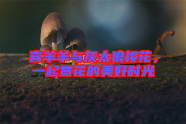 喜羊羊與灰太狼櫻花，一起賞花的美好時(shí)光
