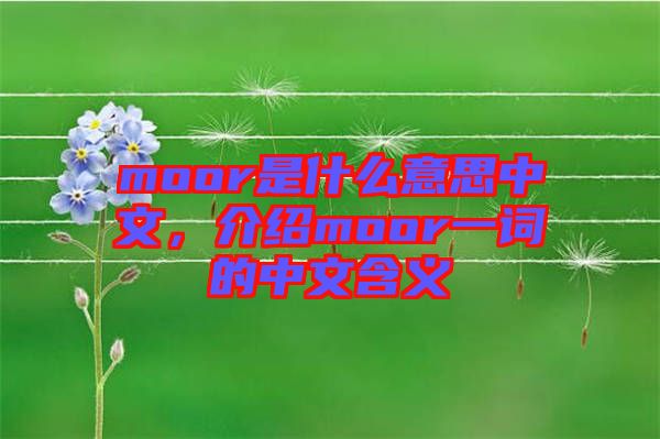 moor是什么意思中文，介紹moor一詞的中文含義