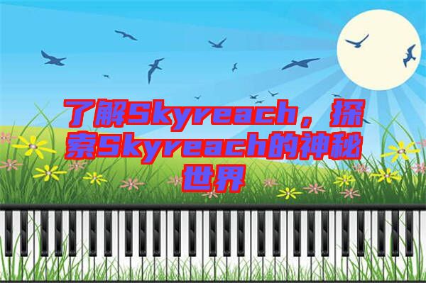 了解Skyreach，探索Skyreach的神秘世界