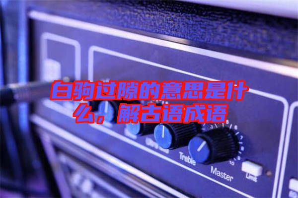 白駒過隙的意思是什么，解古語成語
