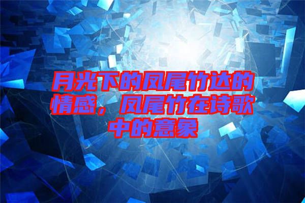 月光下的鳳尾竹達的情感，鳳尾竹在詩歌中的意象