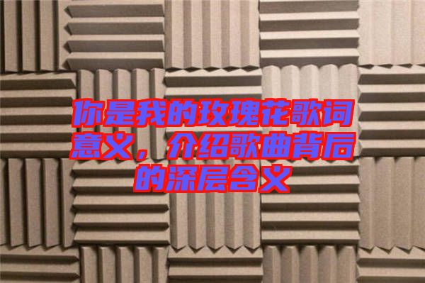你是我的玫瑰花歌詞意義，介紹歌曲背后的深層含義