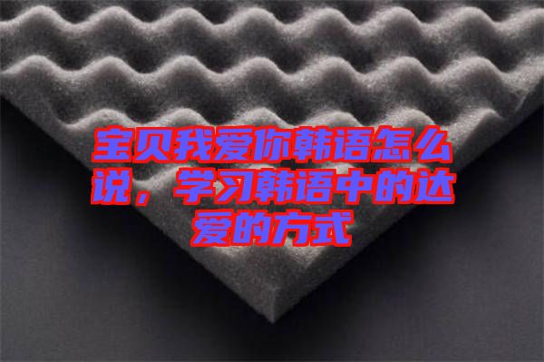 寶貝我愛你韓語怎么說，學習韓語中的達愛的方式