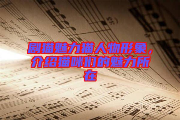 劇貓魅力貓人物形象，介紹貓咪們的魅力所在