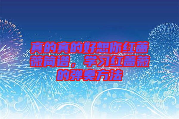 真的真的好想你紅薔薇簡譜，學(xué)習(xí)紅薔薇的彈奏方法