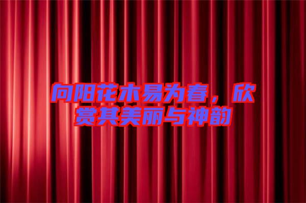 向陽花木易為春，欣賞其美麗與神韻