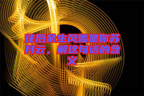 往后余生風(fēng)雪是你蘇月云，解這句話的含義