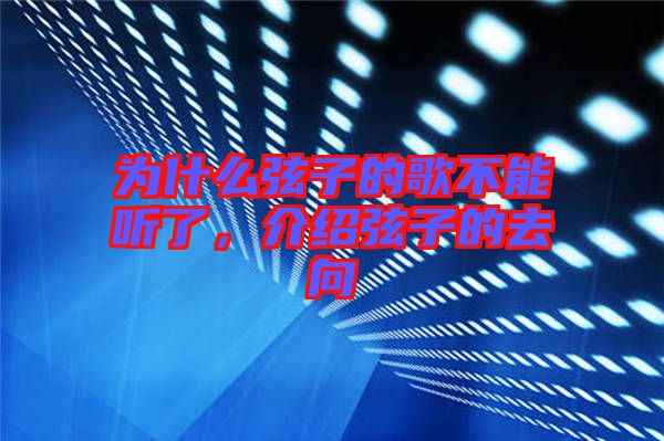 為什么弦子的歌不能聽了，介紹弦子的去向