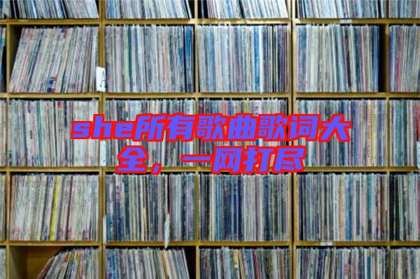 she所有歌曲歌詞大全，一網(wǎng)打盡