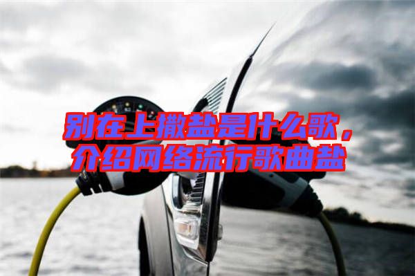 別在上撒鹽是什么歌，介紹網(wǎng)絡(luò)流行歌曲鹽
