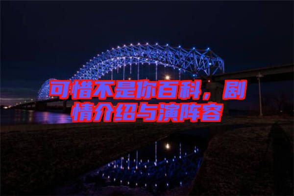 可惜不是你百科，劇情介紹與演陣容