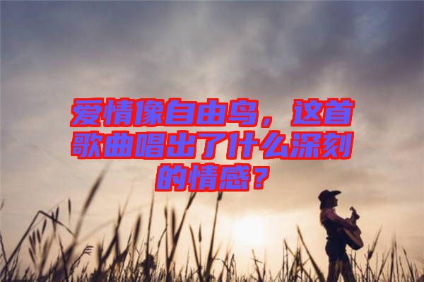 愛情像自由鳥，這首歌曲唱出了什么深刻的情感？
