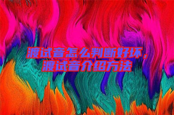 渡試音怎么判斷好壞，渡試音介紹方法
