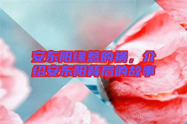 安東陽緣惹的禍，介紹安東陽背后的故事
