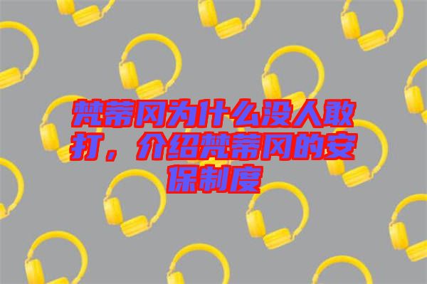 梵蒂岡為什么沒人敢打，介紹梵蒂岡的安保制度