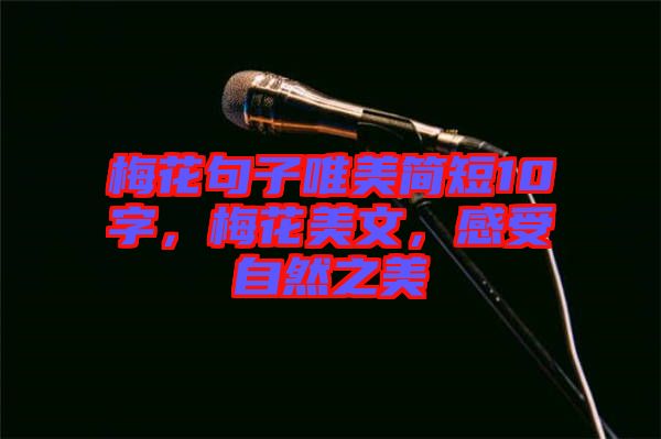 梅花句子唯美簡短10字，梅花美文，感受自然之美
