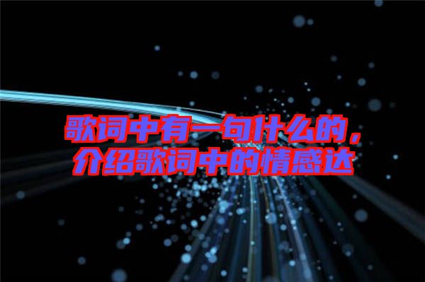 歌詞中有一句什么的，介紹歌詞中的情感達