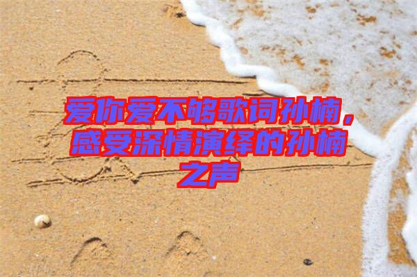愛(ài)你愛(ài)不夠歌詞孫楠，感受深情演繹的孫楠之聲