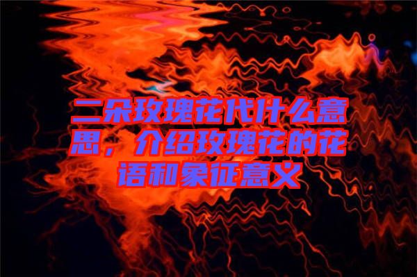 二朵玫瑰花代什么意思，介紹玫瑰花的花語(yǔ)和象征意義