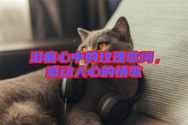 淚痕心中的玫瑰歌詞，感動(dòng)人心的情歌