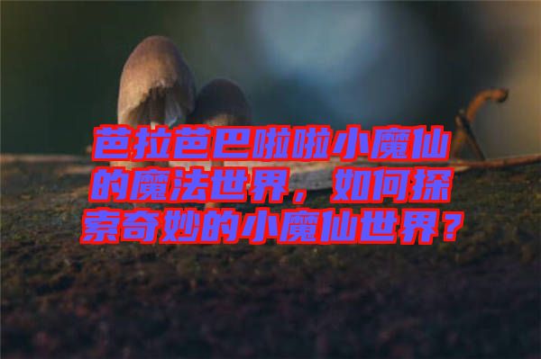芭拉芭巴啦啦小魔仙的魔法世界，如何探索奇妙的小魔仙世界？