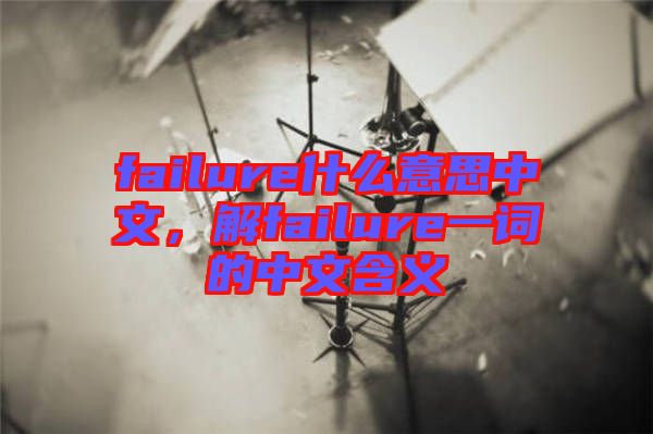 failure什么意思中文，解failure一詞的中文含義