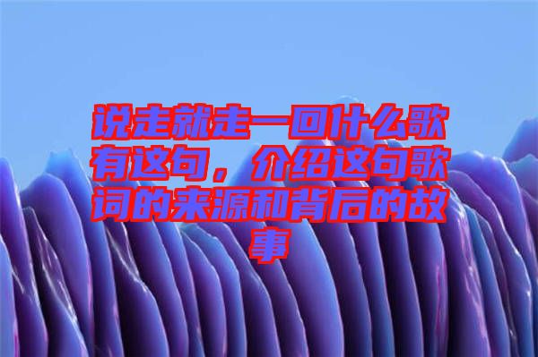 說走就走一回什么歌有這句，介紹這句歌詞的來源和背后的故事