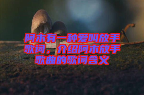 阿木有一種愛(ài)叫放手歌詞，介紹阿木放手歌曲的歌詞含義