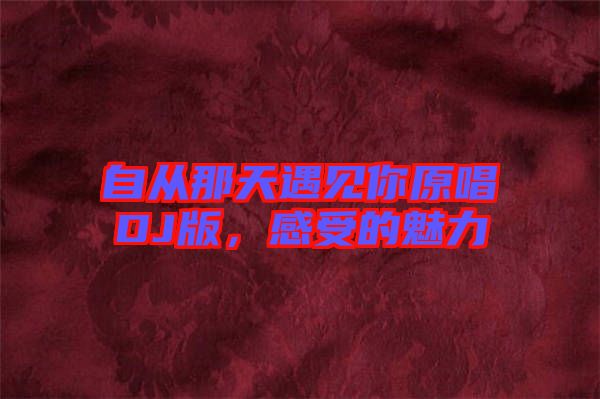 自從那天遇見你原唱DJ版，感受的魅力