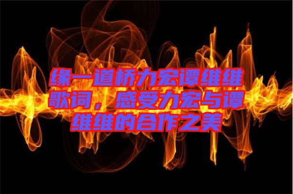 緣一道橋力宏譚維維歌詞，感受力宏與譚維維的合作之美