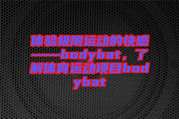體驗極限運動的快感——bodybat，了解體育運動項目bodybat