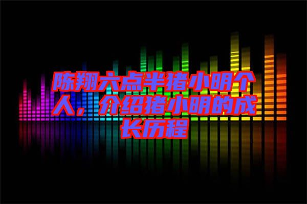 陳翔六點半豬小明個人，介紹豬小明的成長歷程